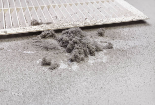 Best Ventilation Cleaning Services  in Leonia, NJ